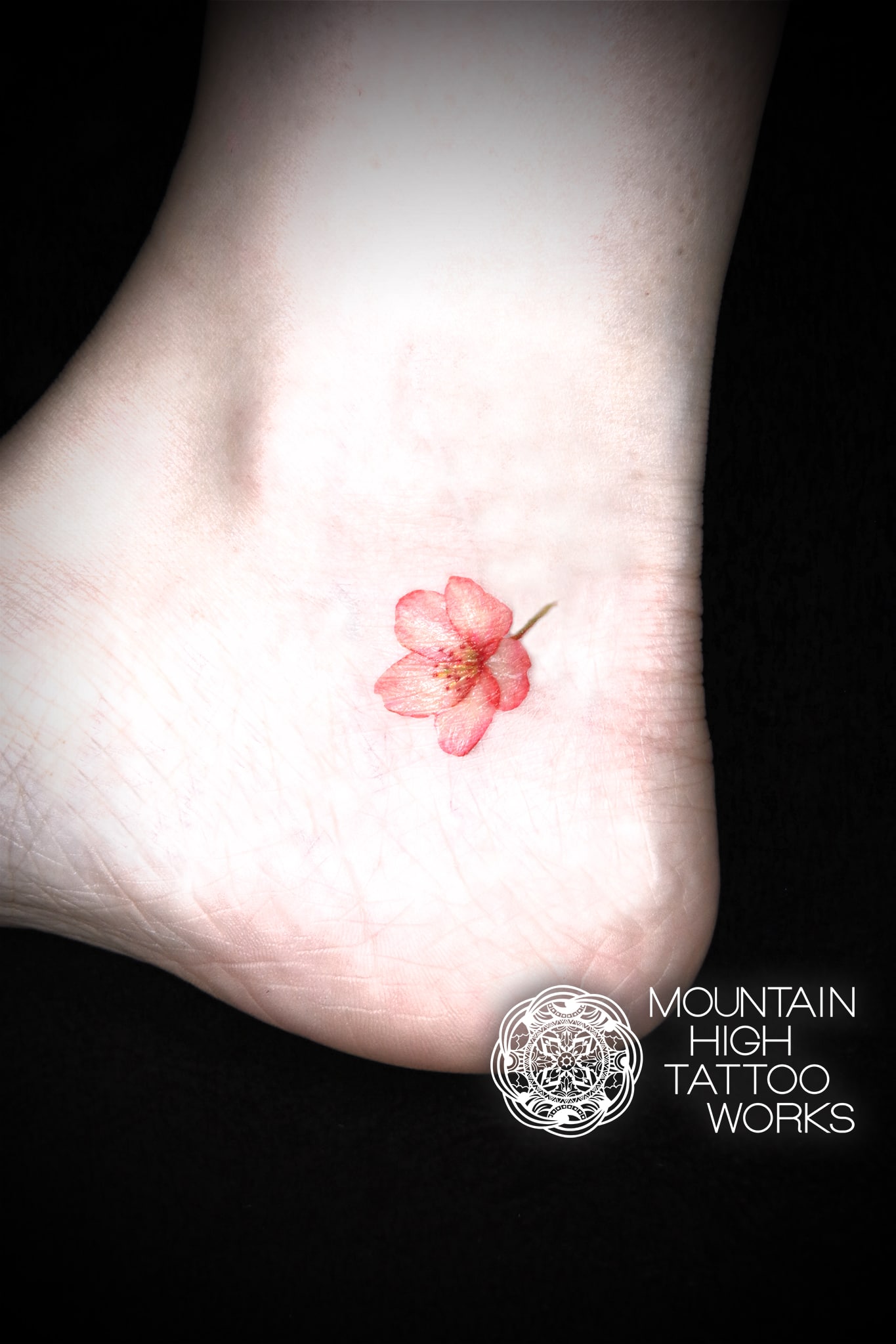 桜の花のファインラインタトゥー 札幌のタトゥースタジオ Mountain High Tattoo Works作品集